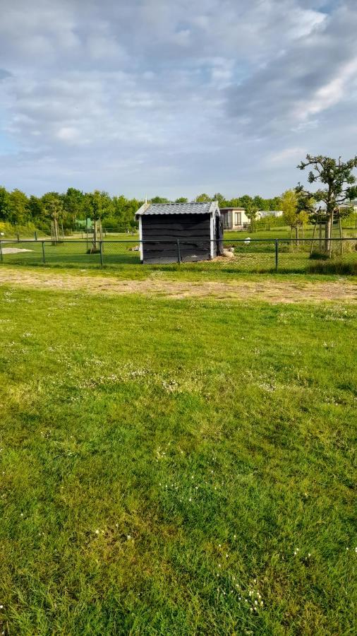 'T Blauwtje Baarland Vila Exterior foto