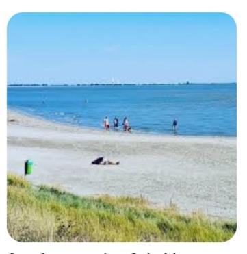 'T Blauwtje Baarland Vila Exterior foto