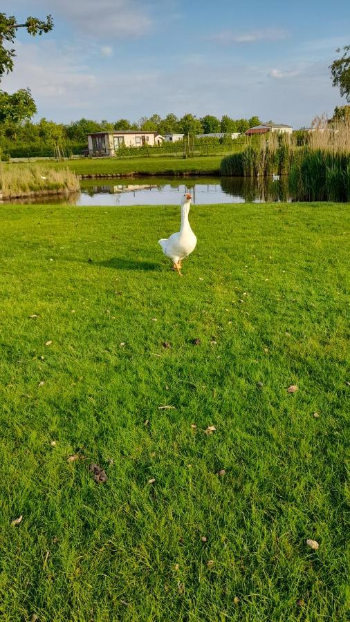 'T Blauwtje Baarland Vila Exterior foto